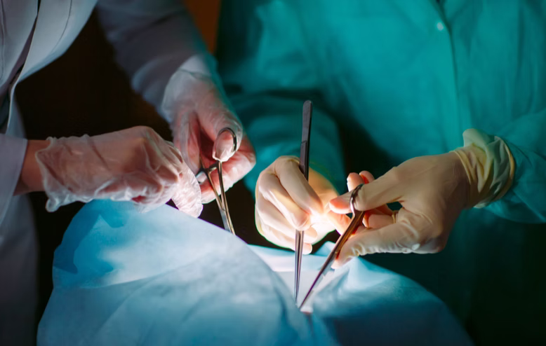 CFB Packaging Ensures Safe Organ Transplant